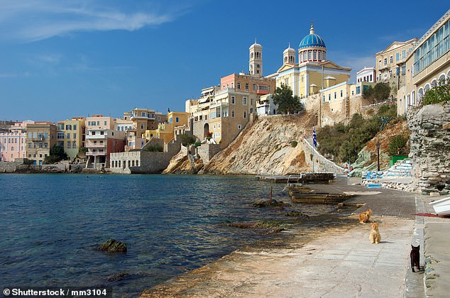 Syros Cats is in need of 'fit, mature, healthy and independent' volunteers who can help with all aspects of cat care for at least one month