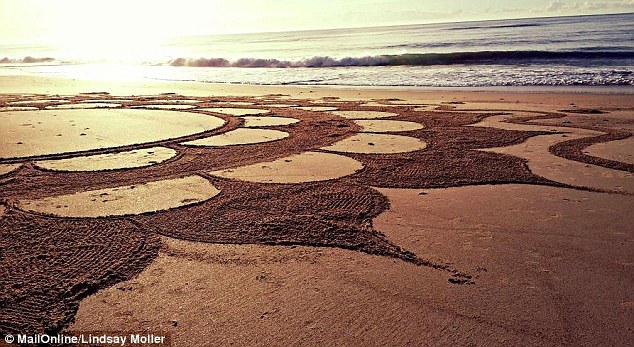 Her drawings on the NSW coast have become a hit online